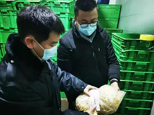 市市場監(jiān)管綜合執(zhí)法支隊開展豆芽專項監(jiān)督抽檢工作，筑牢食用農(nóng)產(chǎn)品批發(fā)安全防線