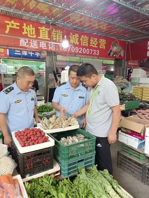筑牢安全防線，守護(hù)舌尖健康——區(qū)市場(chǎng)監(jiān)管局全面開(kāi)展市場(chǎng)銷售蘑菇風(fēng)險(xiǎn)排查專項(xiàng)行動(dòng)